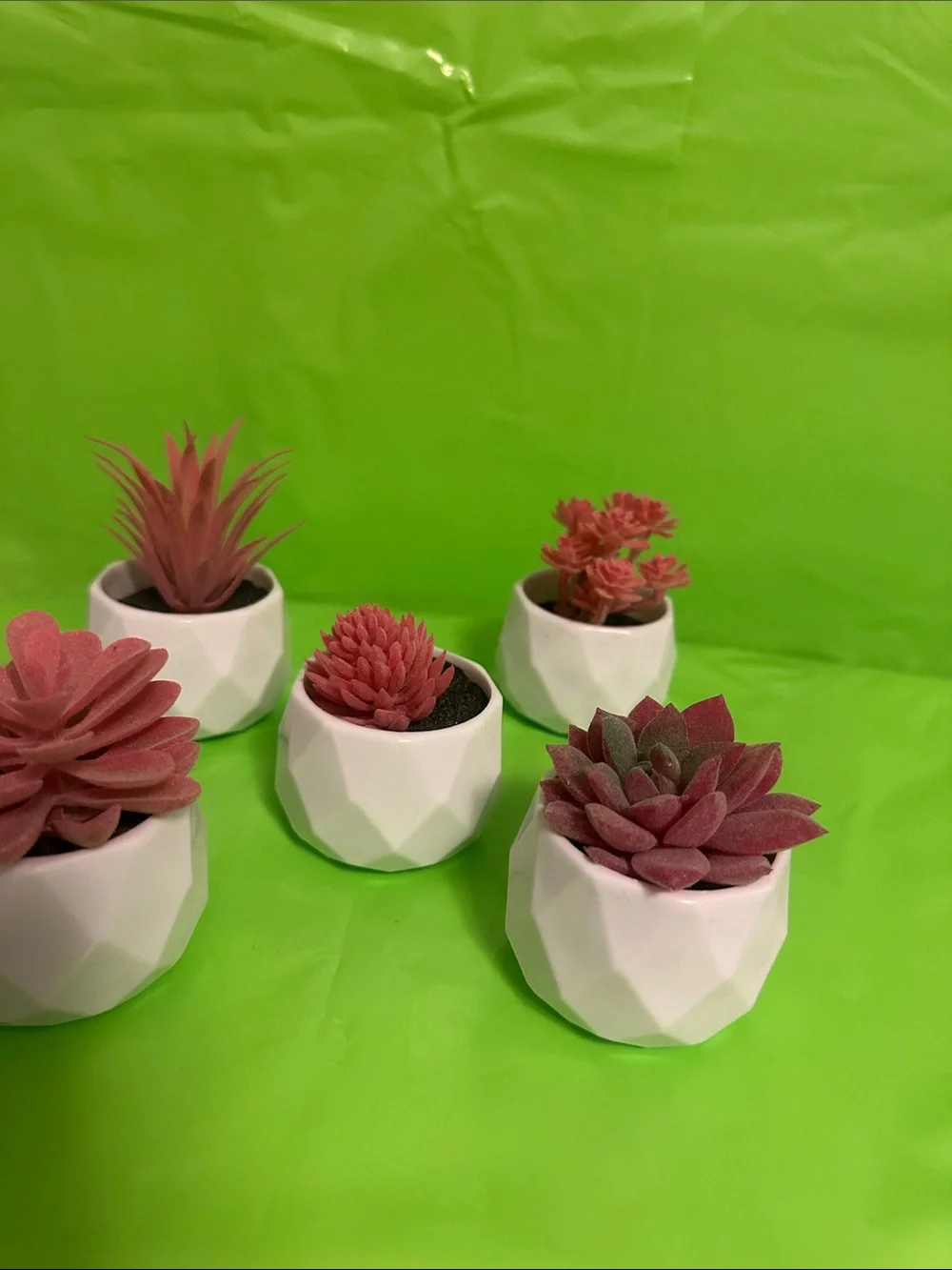 White Geometric Ceramic Planter Set with Pink Succulents - Home Accents